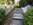 Dirty Sidewalk 